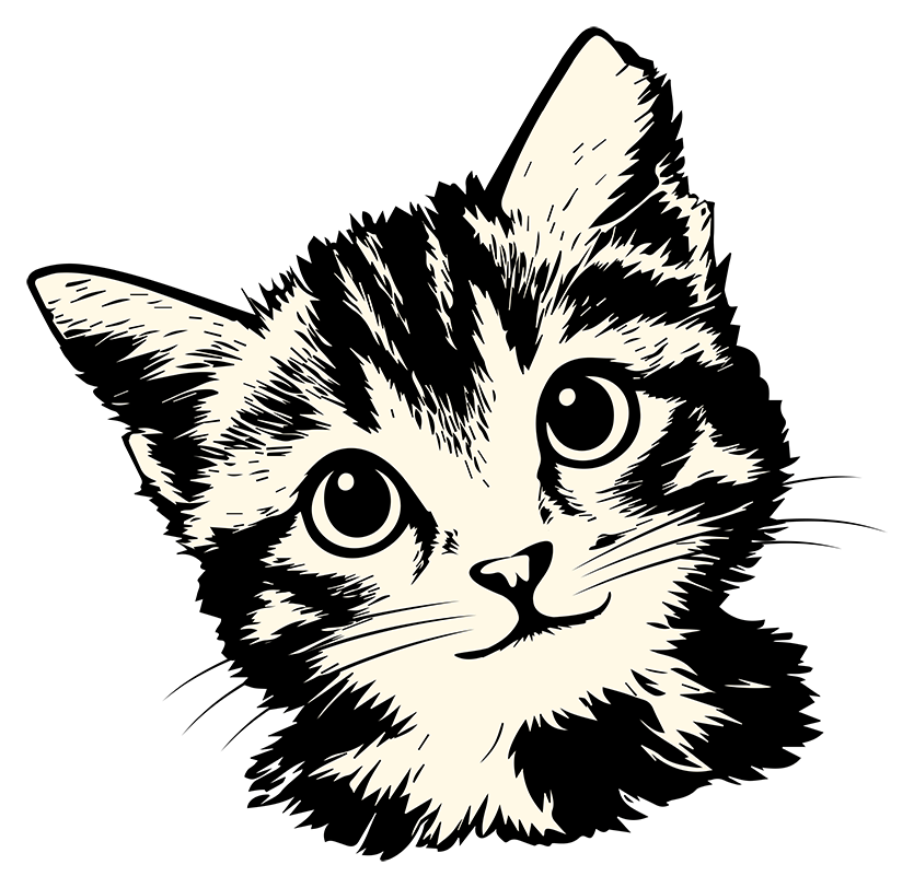 Alimento para tu Gatito