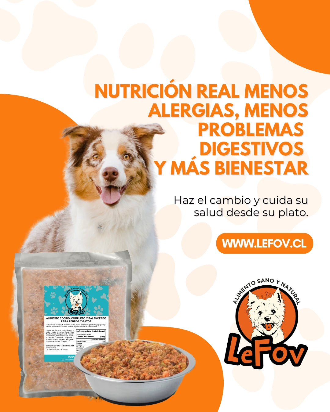 Alimento Para Perros Natural Cocido Sabor Cerdo 500 Gr