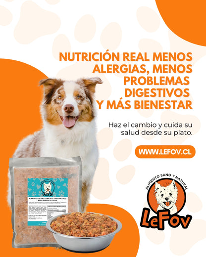Alimento Para Perros Natural Cocido Sabor Cerdo 500 Gr
