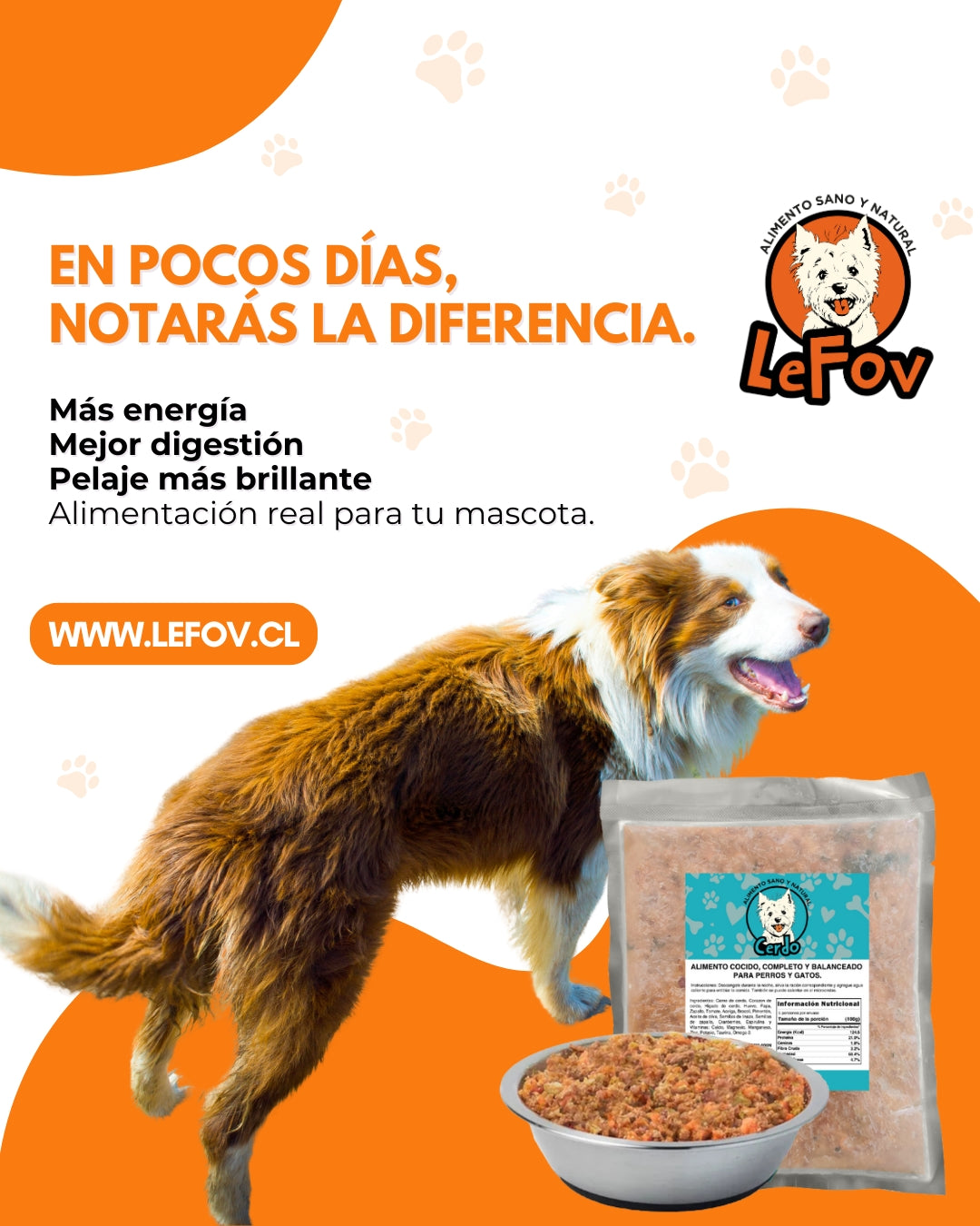 Alimento Para Perros Natural Cocido Sabor Cerdo 500 Gr