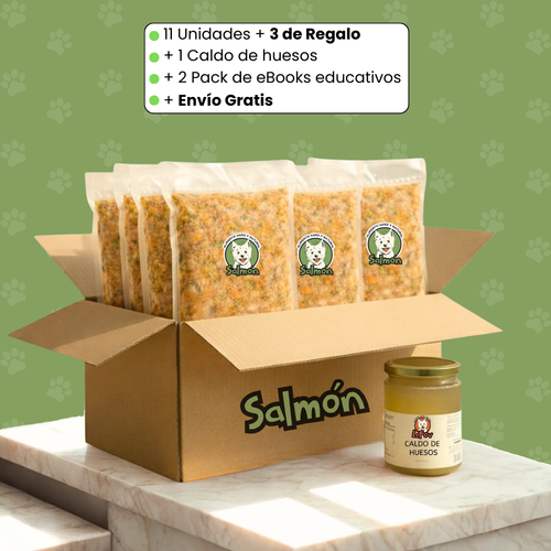Pack Premium Le Fov - alimento natural premium para perros Chile
