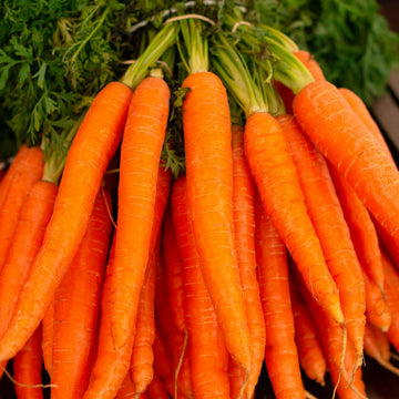 Zanahorias